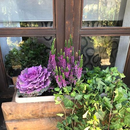 Ancienne Maisonnette アオスタ エクステリア 写真